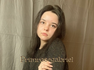 Primrosegabriel