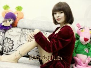 SandyJun