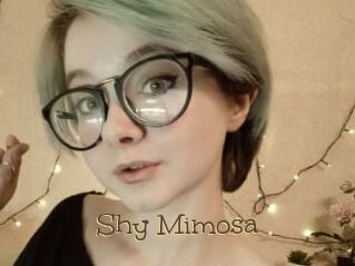 Shy_Mimosa