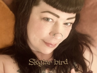 Skylar_bird