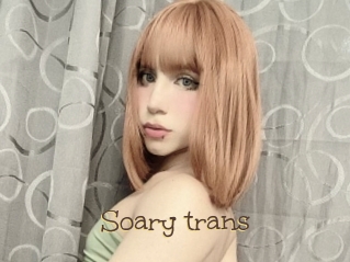 Soary_trans