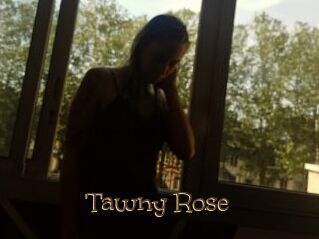 Tawny_Rose