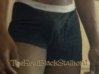 TheRealBlackStallion1