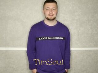 TimSoul