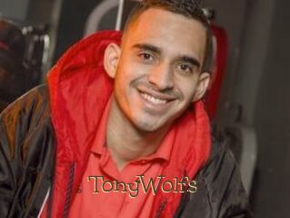 TonyWolfs