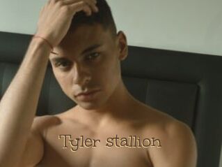 Tyler_stallion