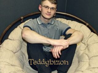 Teddybizon