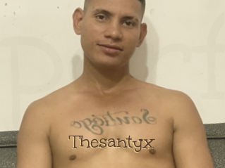 Thesantyx