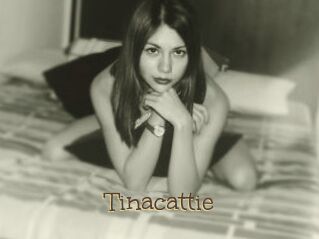 Tinacattie