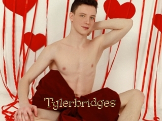 Tylerbridges