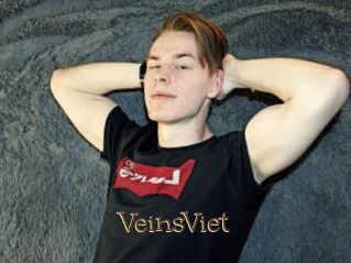 VeinsViet