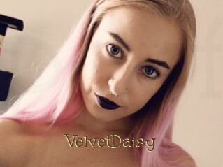 VelvetDaisy