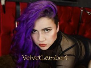 VelvetLambert