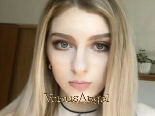 VenusAngel