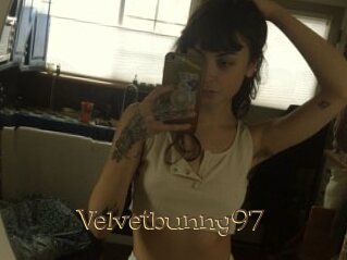 Velvetbunny97