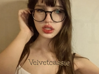 Velvetcassie