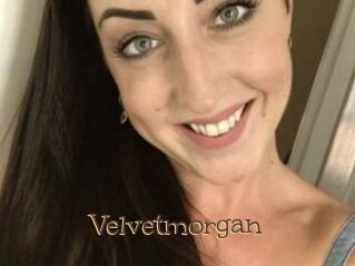 Velvetmorgan