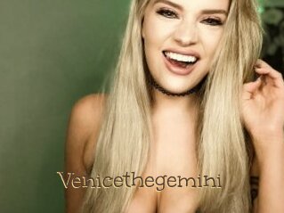 Venicethegemini