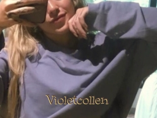 Violetcollen