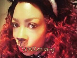WetEstuary