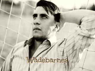 Wadebarnes