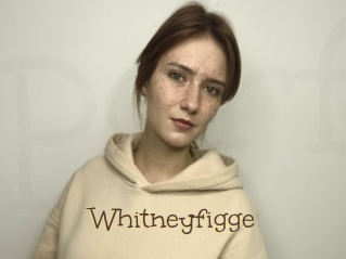 Whitneyfigge