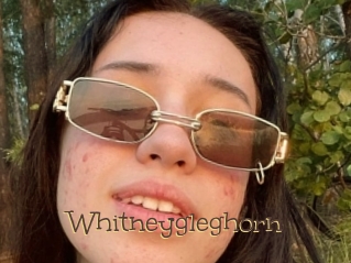 Whitneygleghorn